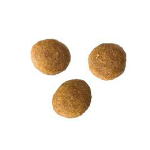 【ペット用】 アイシア i CARE キャットドライ 成猫用 チキン味 400g