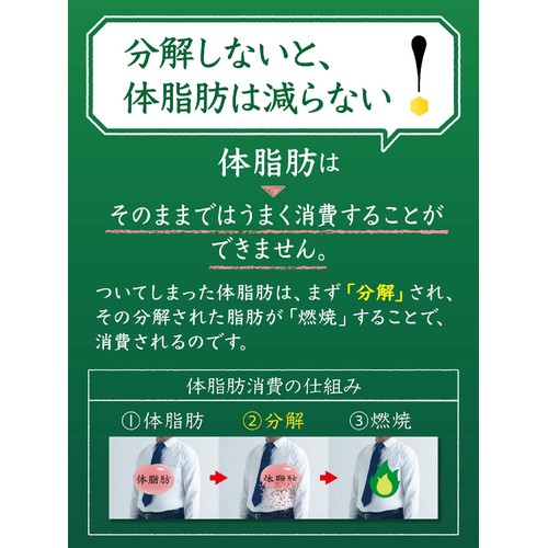サントリー 伊右衛門特茶 500ml