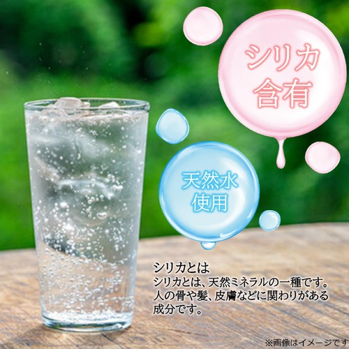 チェリオ 強炭酸水 1000ml
