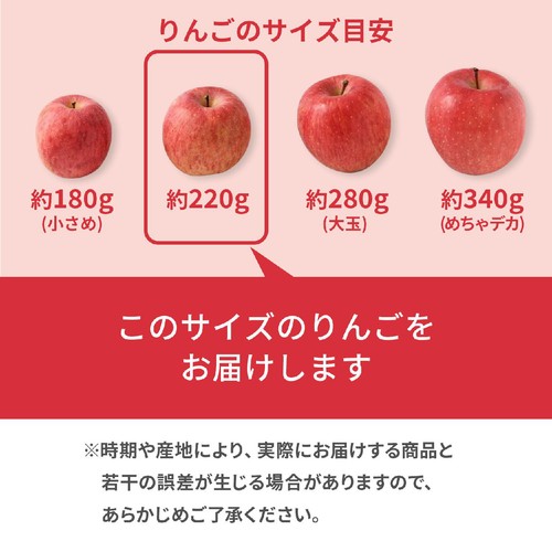青森県産ファーマインド 真の実光選のふじ 2個