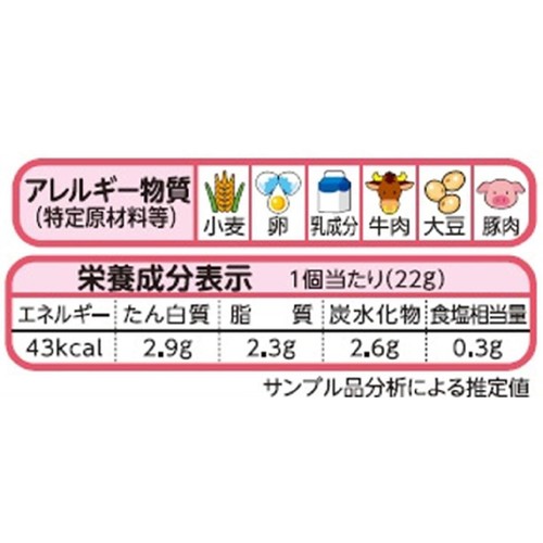 ニチレイ ミニハンバーグ【冷凍】 5個入(110g)