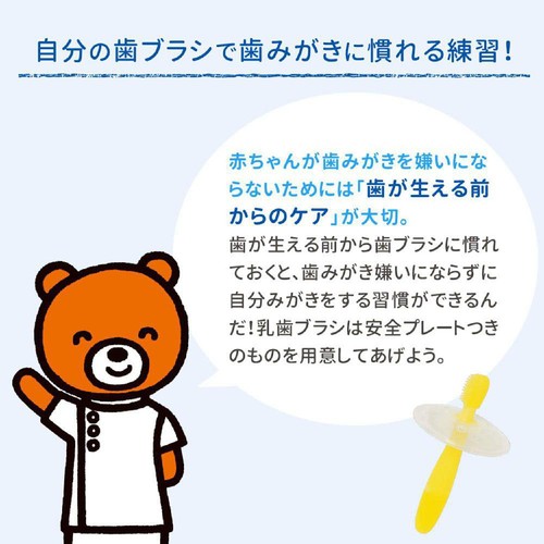 ピジョン 乳歯ブラシ レッスン段階4 ブルー(1才6ヵ月頃から) 2本