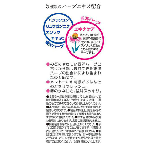 松浦薬業 エキナケアのど飴 52g Green Beans | グリーンビーンズ by AEON