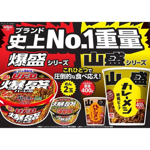 日清 カレーメシ ハヤシメシ 48個セット 【公式通販】