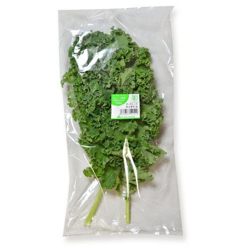【有機】千葉県産 ケール 80g