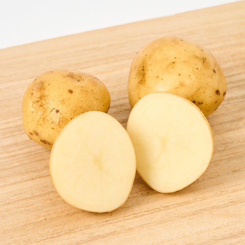 有機】北海道産 じゃがいも 1kg(10-16個) Green Beans | グリーン