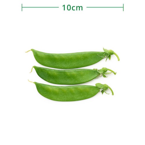 国内産 きぬさや 30g 1パック