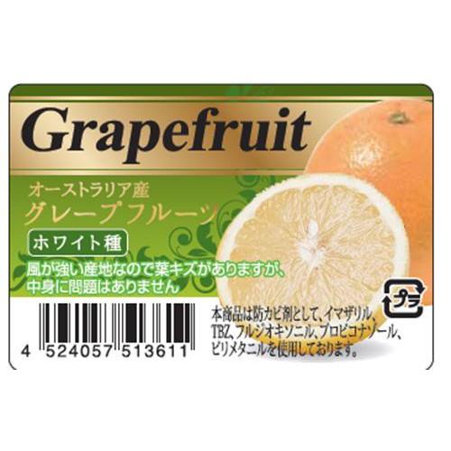 オーストラリア産 グレープフルーツ ホワイト 4個