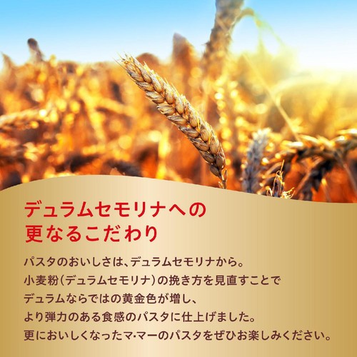 日清製粉ウェルナ チャック付結束スパゲティ1.6mm 600g