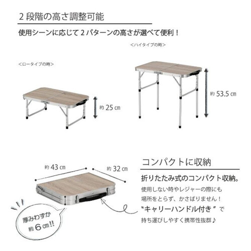 武田コーポレーション 2WAYアルミテーブル 60 x 40cm FT216040