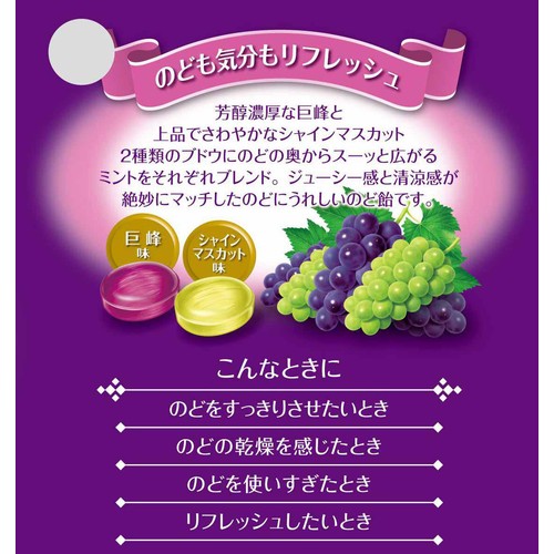 大正製薬 ヴイックスのど飴2種のグレープアソート 70g