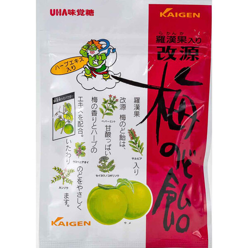 カイゲンファーマ 改源梅のど飴 70g Green Beans | グリーンビーンズ
