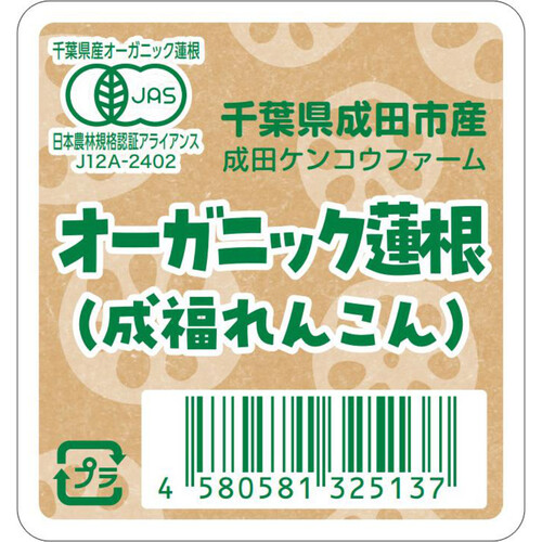 【有機】千葉県産 成田ケンコウファーム 成福れんこん 300g 1パック