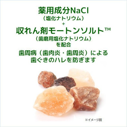 サンスター ガム・デンタルペースト ソルティミント 150g