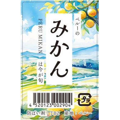 ペルー産 みかん 5-7個 400g 1袋 Green Beans | グリーン