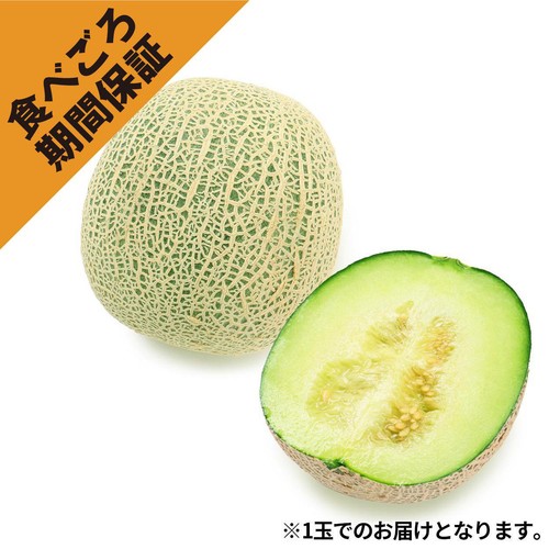 ［食べごろ+］青森県産 工藤さんのタカミメロン 大玉 1.1kg　1個