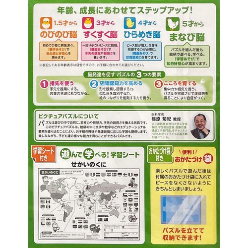 エポック社 ピクチュアパズル どこでもドラえもん 世界の国旗 5才以上