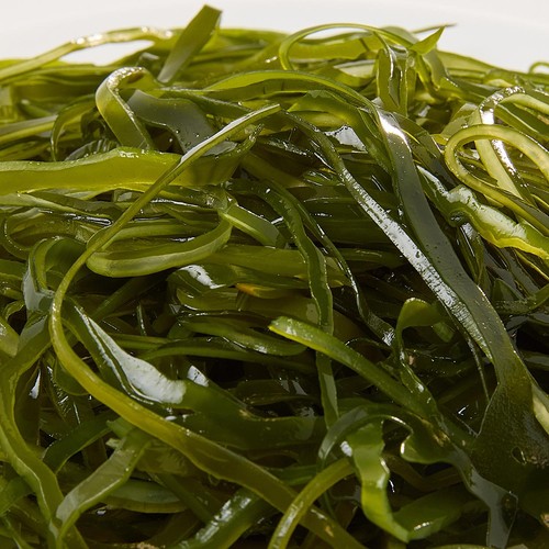 【冷蔵】 切り昆布パック 80g