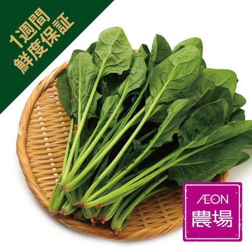 ［鮮度+］栃木県産 ほうれんそう 200g 1袋