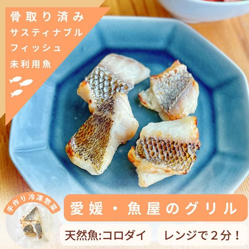 【冷凍】Umiのアトリエ 未利用魚 サスティナブルフィッシュ 愛媛県産コロダイのグリル 骨取済み・焼き調理済み  50g
