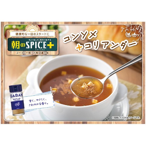 ハウス食品 GABAN ギャバン コリアンダー 15g