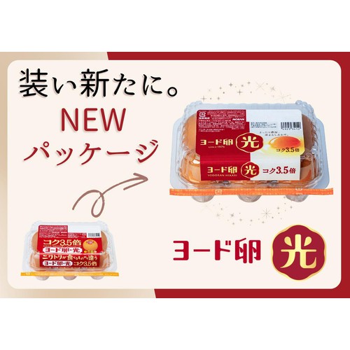 日本農産 ヨード卵 光 6個入