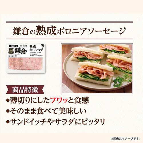 鎌倉ハム富岡商会 熟成ボロニアソーセージ 85g