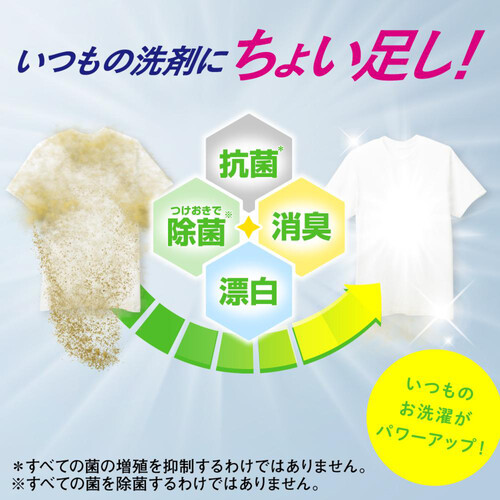 花王 ワイドハイターEXパワー 大サイズボトル専用 つめかえ用 820ml