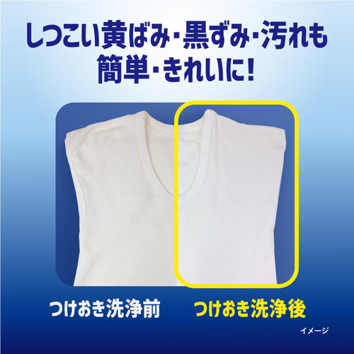 花王 ワイドハイター PRO 強力分解パウダー詰替 450g