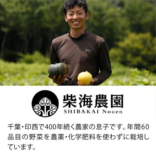 千葉県産 柴海農園 おまかせ野菜セット 6種類 1袋