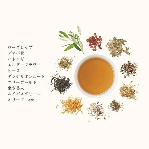 生活の木 私の30日茶 東方美人ブレンド 7個入