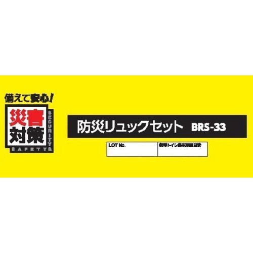 アイリスオーヤマ 防災リュック 33点セット