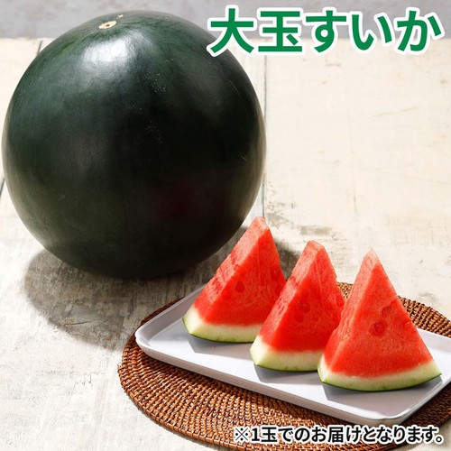 熊本県産 味咲のブラックジャック 大玉すいか 4.5kg 1玉
