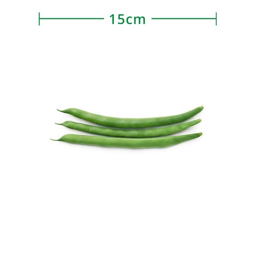 国内産 いんげん 100g 1袋
