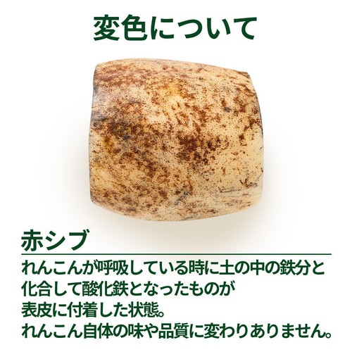 ［鮮度+］【有機】千葉県産 成田ケンコウファーム 成福れんこん 300g 1パック
