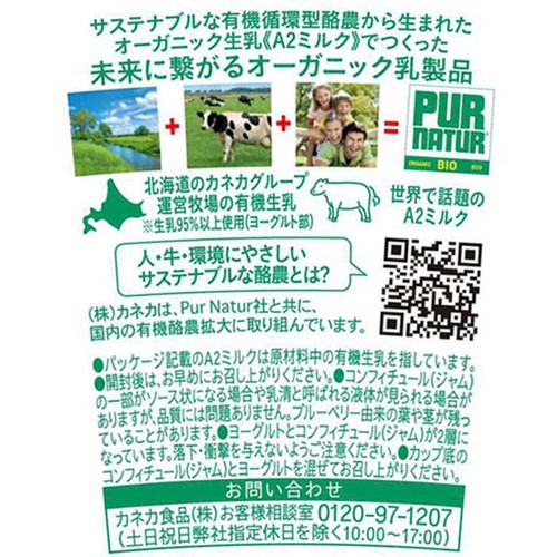 カネカ食品 ピュアナチュール オーガニックヨーグルト ブルーベリー 100g