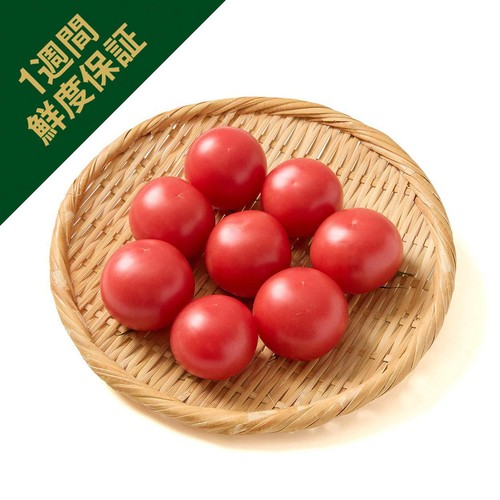 ［鮮度+］国内産 カゴメ高GABAトマト 530g 1パック