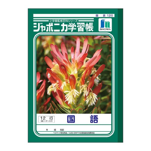 ショウワノート ジャポニカ学習帳 国語12行縦リーダー入り B5判 30枚