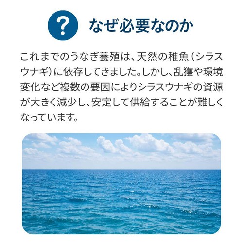 【冷凍】山田水産 鹿児島県産 完全養殖うなぎ蒲焼 大 1尾(151g)【数量限定 135点】