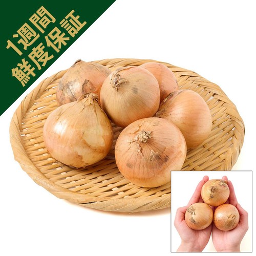 鮮度+］北海道産 たまねぎ 700g(6個) 1袋 Green Beans | グリーン