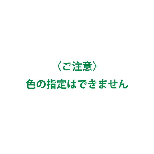 ライオン お口に合うブラシが選べる 電動アシストブラシ付替 NONIO+ホワイトニング薄型コンパクト ふつう 2本