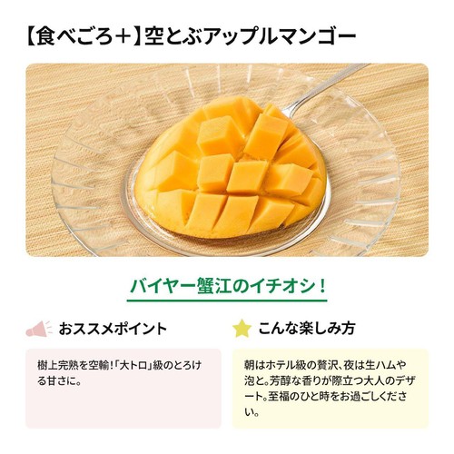 [食べごろ+] 輸入 空とぶアップルマンゴー 380g