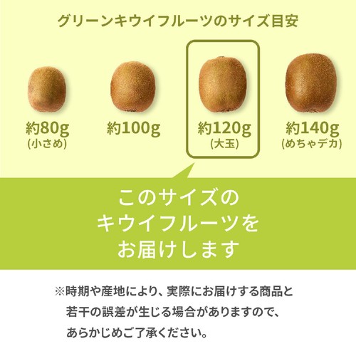 ニュージーランド産ゼスプリ グリーンキウイフルーツ 大玉 3個 360g