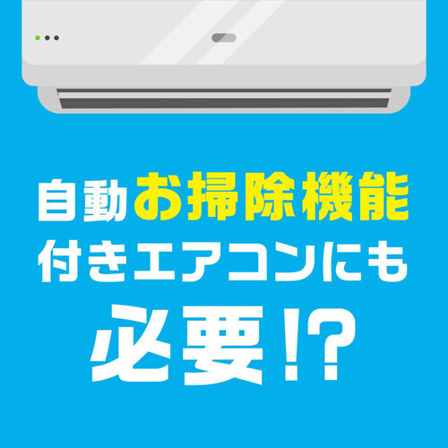 アース製薬 らくハピ エアコンの防カビスキマワイパー エアコン掃除 取替え用 5枚