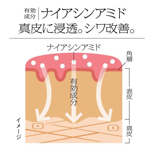 ソフィーナ iP 薬用シワ改善 泡セラム レフィル 180g