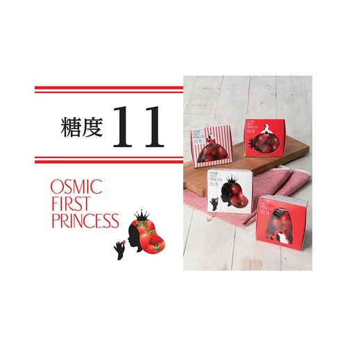 千葉県千葉市 OSMIC FIRST PRINCESS 120g 1パック