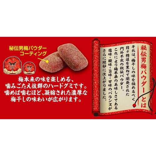 ノーベル製菓 男梅グミ 41g
