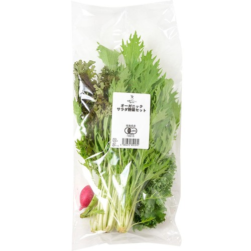 新洋風前菜　(1.2.3) 3冊セット NEW おまかせ野菜セット おすそわけ 月1回 （送料込） | 食品
