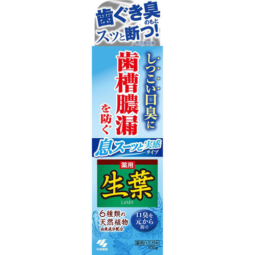 小林製薬 生葉 息スーッと実感タイプ 100g