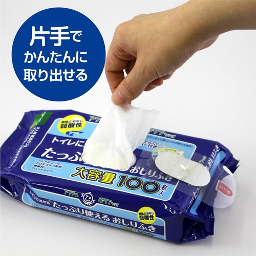 日本製紙クレシア アクティ トイレに流せるたっぷり使えるおしりふき 100枚